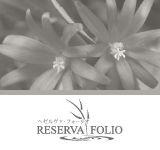 Reserva Folioإեꥪ